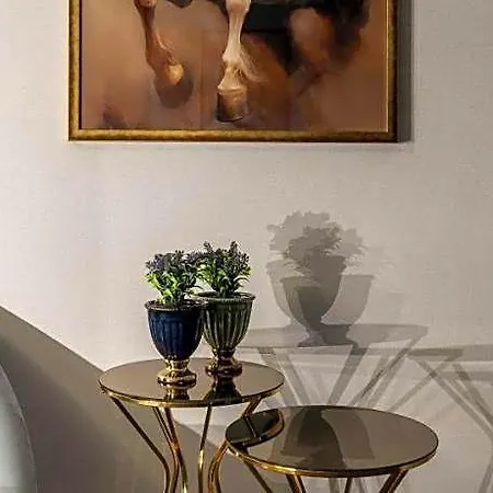 Sistina Old فندق اسطنبول